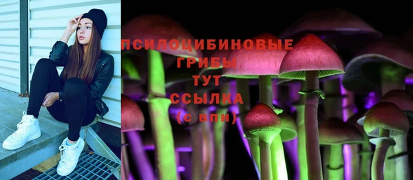 дурь Балахна