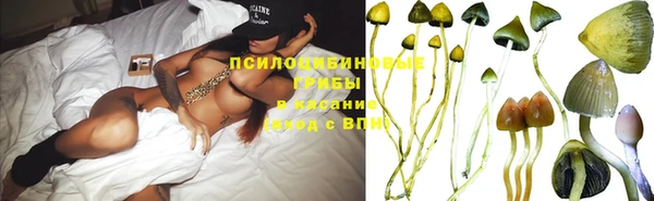 PSILOCYBIN Баксан