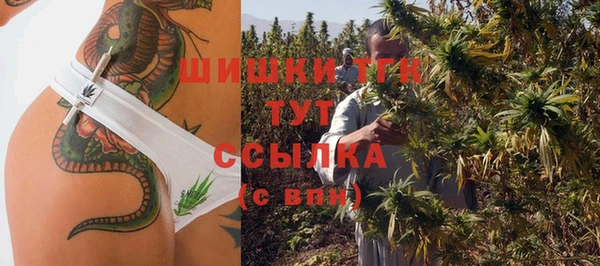 PSILOCYBIN Баксан