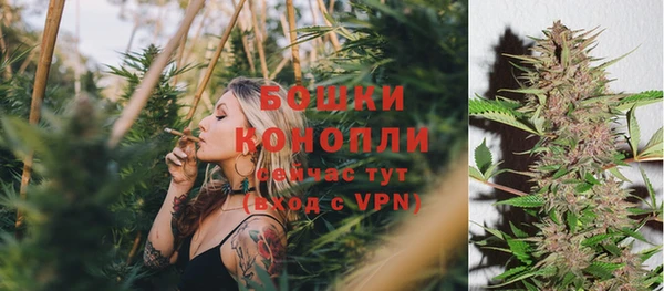 PSILOCYBIN Баксан